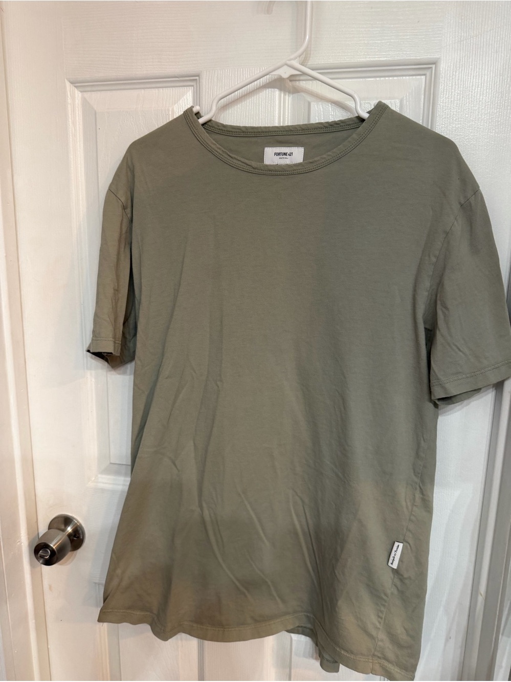 Fortune 421 Neutral Green Men's Crew Neck T-Shirt
